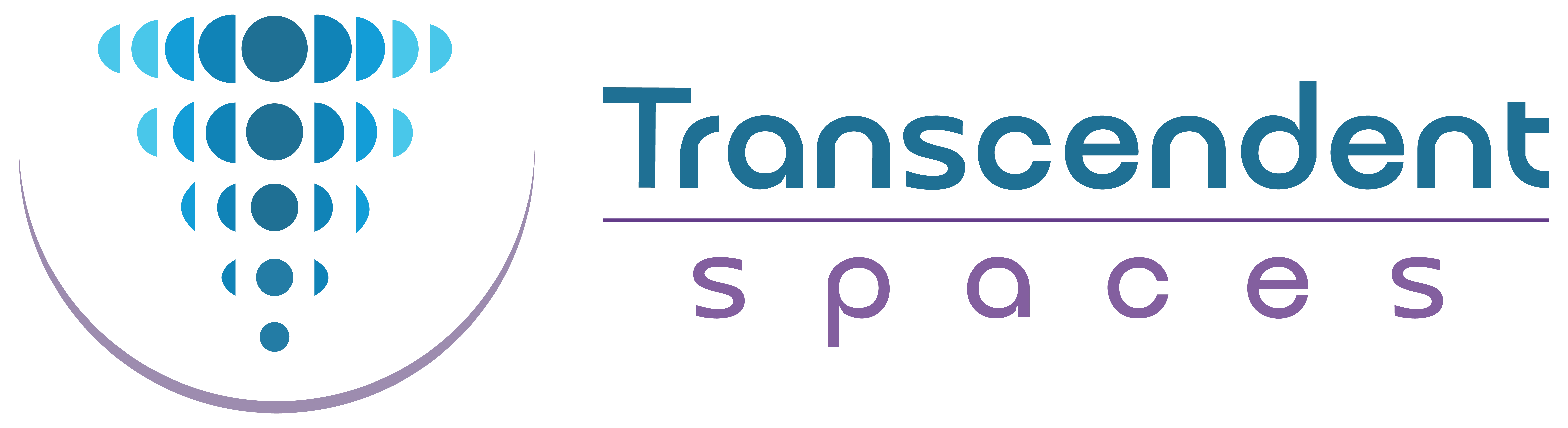 Transcendent Spaces